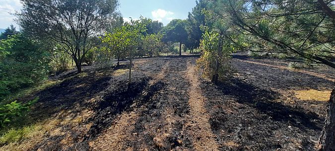 L'area incendiata